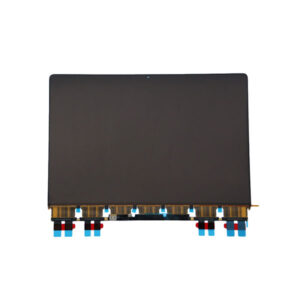 Display LCD MacBook Pro 14 M4 LG A3112 A3401 A3185 | OEM